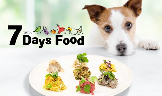 画像：愛犬のごはんの時間を楽しく！「7Days Food」販売開始