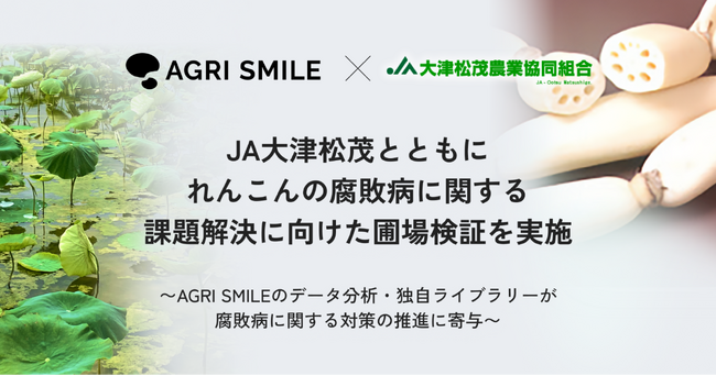 画像：AGRI SMILEとJA大津松茂、れんこんの腐敗病に関する課題解決に向けた圃場検証を実施