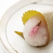 春限定！〈たねや〉から桜の和菓子が登場！松坂屋上野店　最旬グルメ