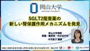 【岡山大学】SGLT2阻害薬の新しい腎保護作用メカニズムを発見