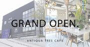 リニューアルした「ANTIQUA TREE CAFE」が4月2日(火)にグランドオープンを迎えました。ファン待望のテイクアウトメニューも販売開始！