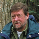 環境活動家 C.W.ニコルの命日4月3日にアファンの森の木の指輪を発売