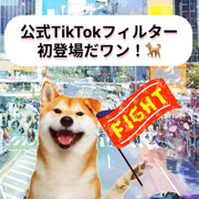 【渋谷区公式TikTok ARフィルター】「Shibuya Hachi」が初登場！