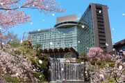 紀尾井町の桜がついに満開に！“花も団子も愉しみたい”方必見のおすすめランチビュッフェ2種をご紹介！