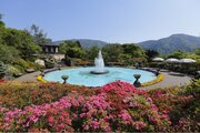 『箱根強羅公園 開園１１０周年アニバーサリーキャンペーン』を開催！