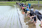 収穫米の一部を「ひとり親家庭」へ寄付パソナハートフル『田植え体験会』 柏市で5月11日(土)開催
