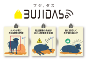 ＮＴＴテクノクロス、ベルシステム24の共同サービス、日本初の牛の起立困難予防声かけAIサービス「BUJIDAS（ブジダス）」を提供開始