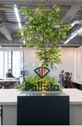 Ballista、昨年比1040%成長を経て、新オフィスへの移転・新卒採用を開始。社内外のコラボレーションと更なる非連続な成長を目指して