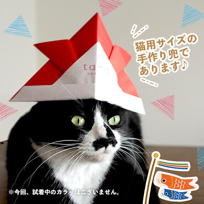 画像：《tama》猫用サイズの「折り紙かぶと」プレゼント
