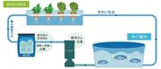 【神奈川県 BAK 共創事例】アクポニ富士工業、循環型栽培システム気流制御技術で生産性向上と脱炭素推進。事業化へ。