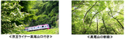 高尾山の新緑シーズンにあわせ４～５月中の計６日間、臨時「京王ライナー６１号（高尾山口行き）」を運行します！