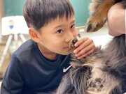 マース ジャパン リミテッド国公私立小学校の低学年を対象とした「犬を通じた体験授業」「こども笑顔のラインプロジェクト」に協賛