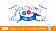 わんちゃん約9,000頭来場予定！「YOKOHAMA GOGO DOGFES」に泡の力で進化したドッグシャンプーawamizが初出店いたします