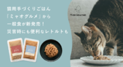 愛猫の食生活をもっと豊かに健康に！フレッシュペットフード「ミャオグルメ」から一般食タイプが新発売！