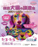 ジョートフル熊本プロジェクト、「韓国っぽ」な保護犬猫譲渡会イベントを開催！