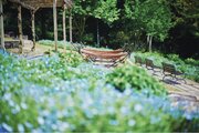 青一面の「ネモフィラ畑」が間もなく見ごろです。ネモフィラ畑の中のハンモックで優雅なお昼休み。一面に広がる淡いブルーの絨毯（花畑）に設置されている「ハンモック」や「ベンチ」は期間限定の大人気スポットです