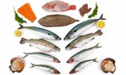 ビタミンEの約500倍…認知症予防が期待できる”史上最強の抗酸化物質”を多く含む｢魚の名前｣