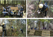 神奈川県の「チューリッヒの森」プロジェクトで社員によるボランティア活動を実施