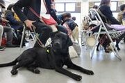 【国際盲導犬の日】四天王寺大学で盲導犬ボランティアの交流イベント「ボランティアデイ」を実施しました！