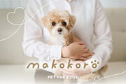 ペット用品専門店「ペットパラダイス」 　　シニア犬向けの思いやりとやさしさにこだわった『makokoro(まこころ）』シリーズを4月26日（金）発売