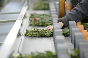 welzo花材専門店の3店舗目OPENおよび花卉事業の取り組みについて