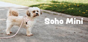 最上級の安心と肌ざわりを実現。ドイツ老舗ペットブランド「HUNTER」より本格的な牛革を使用した「SOHO mini(ソーホー ミニ)」シリーズが新登場！