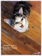 保護猫との暮らしを瑞々しく描いた絵本『きみがいるから』発売記念パネル展を、東京都中央区のカフェド武にて5月1日（水）より開催いたします