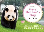おかげさまで「ジャイアントパンダ日中共同繁殖研究３０周年」お母さんパンダ「良浜（らうひん）」へ感謝を伝える母の日イベントを開催　２０２４年５月１２日（日）