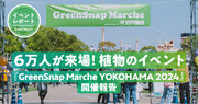 ＜イベントレポート＞6万人が来場！植物のイベント『GreenSnap Marche YOKOHAMA 2024』開催報告