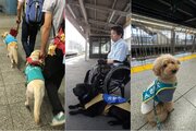 【鉄道接遇研修】～補助犬ユーザーから学ぶ～鉄道従業員として知っておきたい接遇の極意