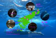 好きな視点に移動しながら没入VR映像体験　奄美大島の観光スポットを東京ビッグサイトで体感しよう！　多視点VR映像アプリ『POV tourism』を観光DX・マーケティングEXPOに出展