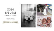 「盲導犬クイールの一生」撮影フォトグラファー『ワンちゃん思い出Photo撮影会』イベント開催のお知らせ