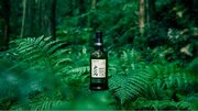 戸河内の自然を象徴するウイスキー「シングルモルトジャパニーズウイスキー戸河内 MISTY STILLMAN'S SELECTION」を2024年5月中旬よりリリース