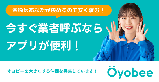 画像：“本音”でつながる仲間たちの旅。madoguchi株式会社、社員旅行の裏側をYouTubeで公開