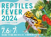 【7/6(土)7(日)】今年も、小さな恐竜たちの夏がキタ―――！珍しい生き物たちに出会えるイベント、大阪で開催！【レプタイルズフィーバー2024】