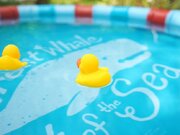 【限定1席】プライベートなナイトプールを楽しめるプランが愛知県蒲郡市のバーベキュー施設、シーサイドマジックに夏の期間限定で登場BBQしながらプールって最高じゃない？