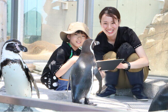 画像：女の子の”ペンギンの飼育員になりたい”願い事がアトアで叶いました【七夕企画｜神戸の港の水族館】