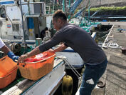 従事者の高齢化や後継者不足など課題解決の一助に東京の島で「島暮らし体験」ができる漁業・農業就業体験者を募集開始