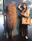 『MOMOテラス』『京都水族館』　「水の生きものも、もっと！知ろう」キャンペーンを8/1～31開催
