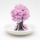 おうちで桜の開花が楽しめる！？不思議なインテリア和雑貨「桜の都」(特許取得商品)8月15日発売