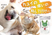 画像：犬・猫のアレルギー、痒み、湿疹のお悩みをサポート！粉末タイプの無添加サプリ「カユイの痒いの飛んで行け」を販売