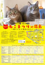 猫の御朱印やスイーツなどイベント限定品が目白押し！「第17回 ねこまつり at 湯島」を9月13日より文京区で開催