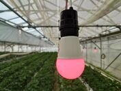 画像：光の力で病害虫や育苗にアプローチ農業分野の省人化と減農薬、生産性向上に貢献　HotaluXが農業用照明市場に再参入