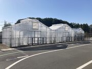 【東京都町田市】町田市バイオエネルギーセンターが生み出すCO2をイチゴ栽培に有効活用