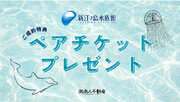 【湘南人不動産】ご成約特典として「新江ノ島水族館ペアチケット進呈キャンペーン」を開始