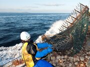 北海道漁業協同組合連合会のホタテガイ垂下式漁・桁網漁業が2度目の更新審査を完了　日本のMSC認証取得漁業では初