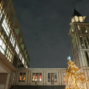 学校法人聖学院 駒込キャンパス 3校１園合同クリスマスツリー点火式を開催―創立120周年を覚え、キャンパスに光が灯る―