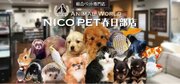 スーパービバホーム春日部店に総合ペット専門店のNICO PETをオープン