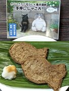 「かなしきデブ猫ちゃん」亀井蒲鉾　手押しじゃこ天　発売