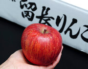 留目秀樹さんの「もぎたて 特選 留長ふじ」青森県 南部町の留長果樹園から届ける鮮度抜群のリンゴです
